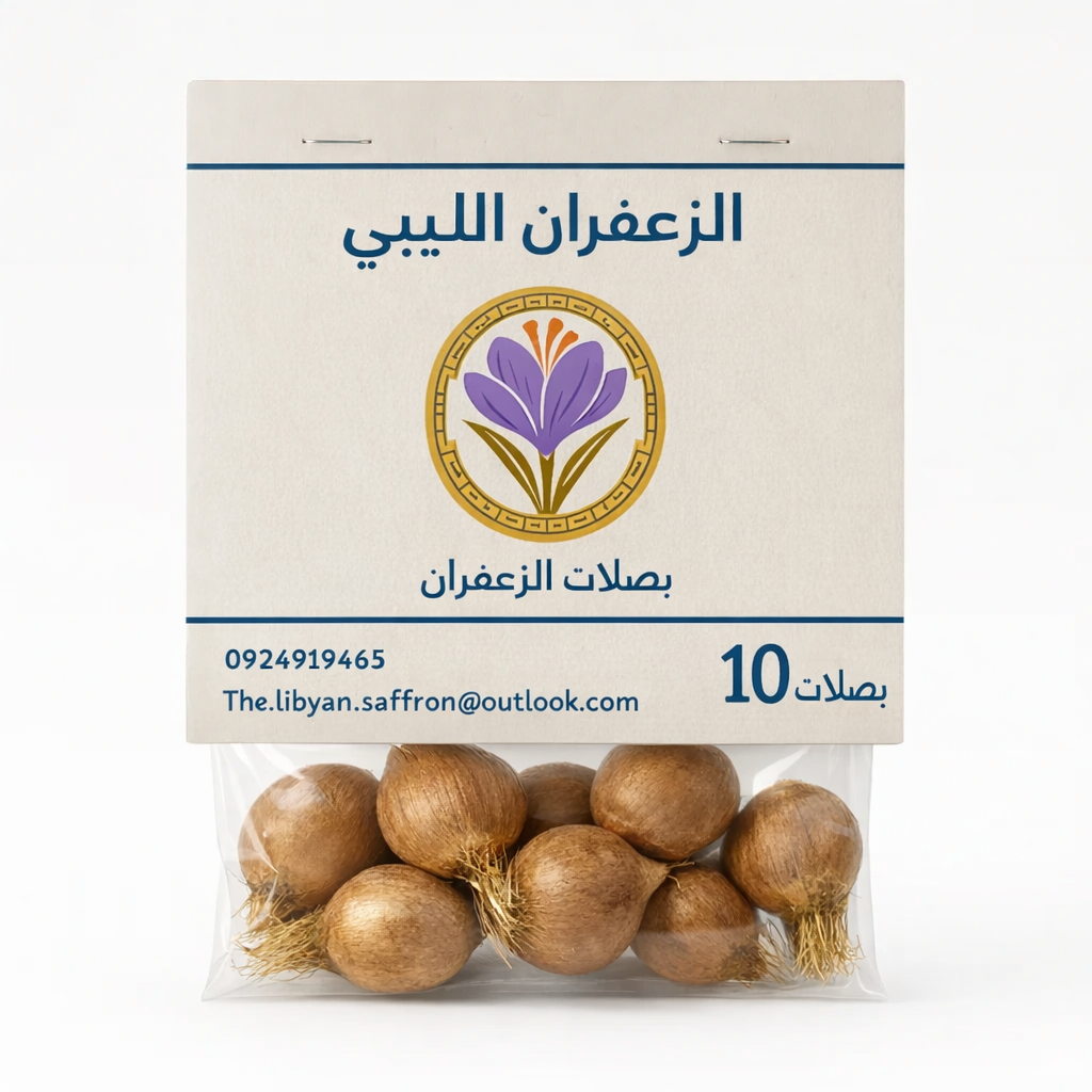 Saffron Bulbs